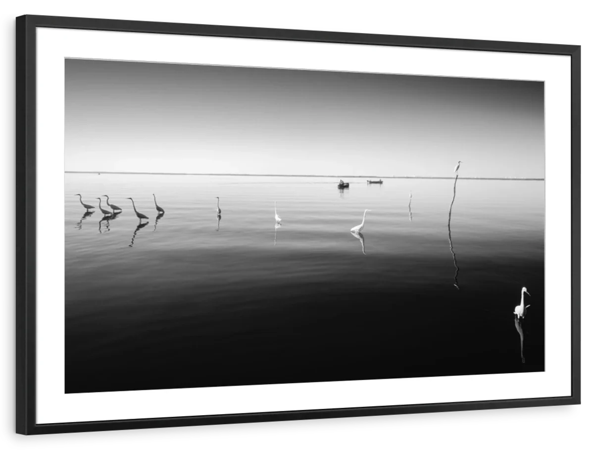 11 Herons Wall Art - Image 9