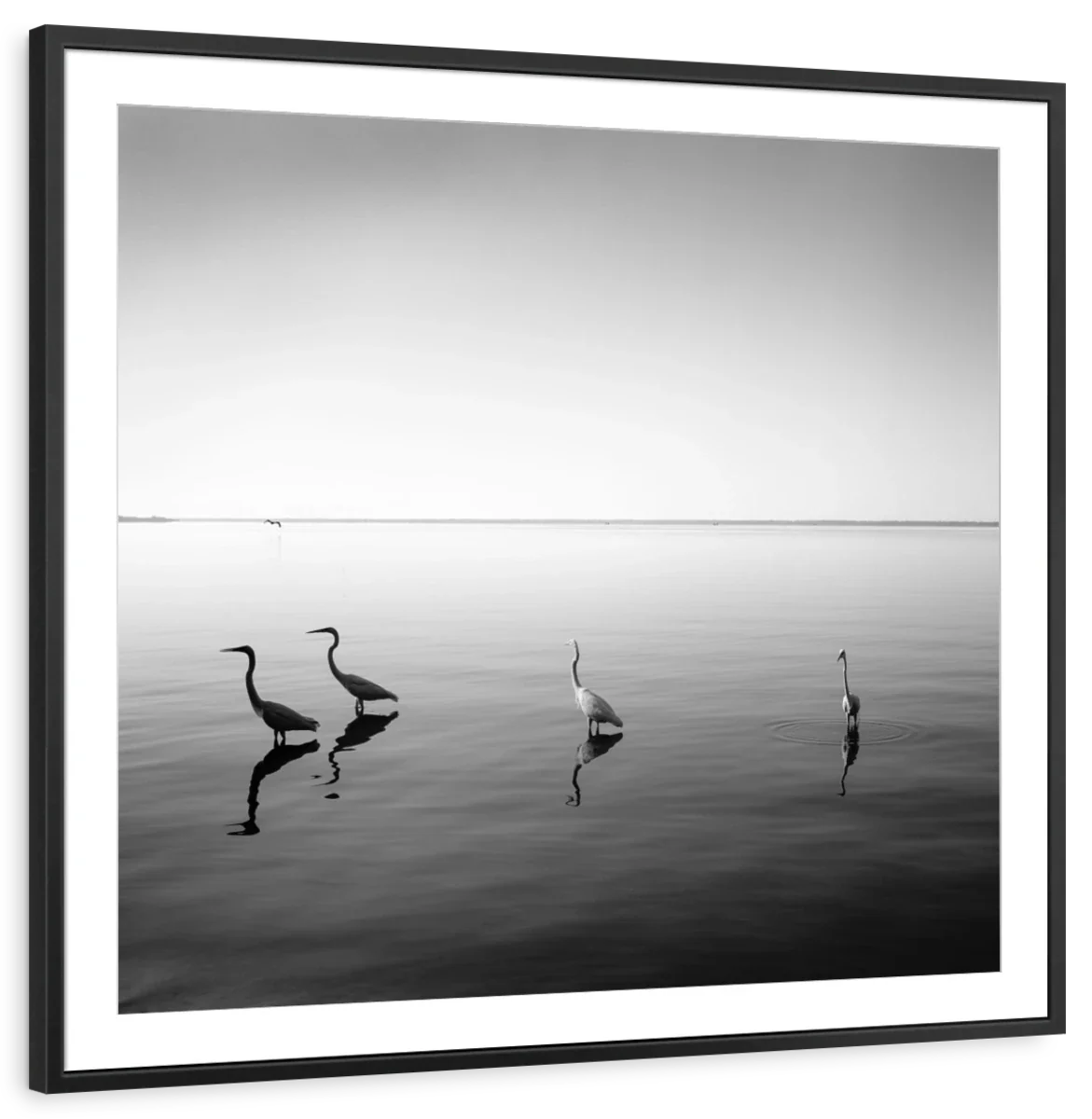 4 Herons I Wall Art - Image 7