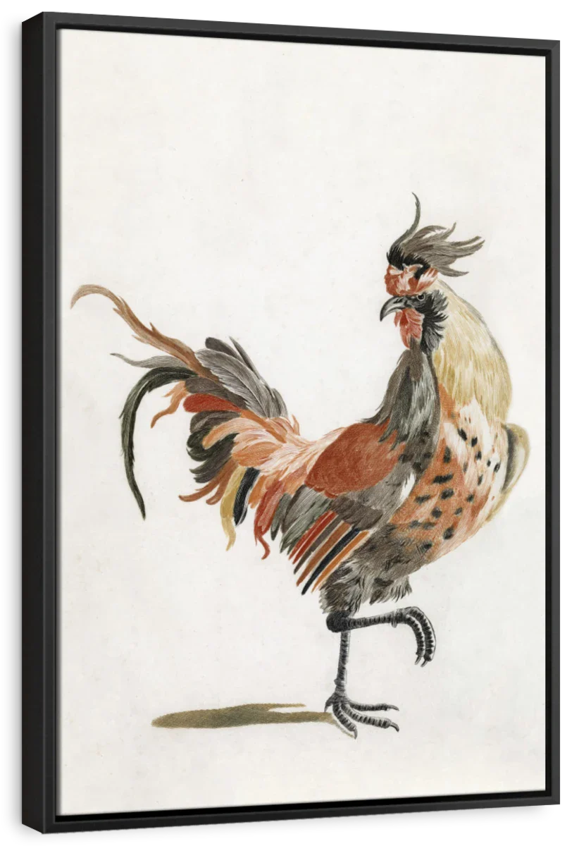 A Cock Wall Art - Image 6
