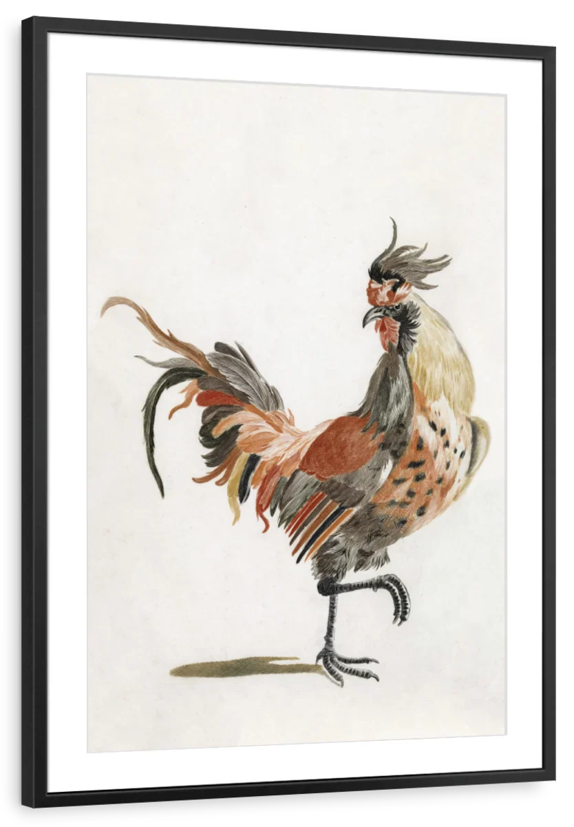 A Cock Wall Art - Image 7