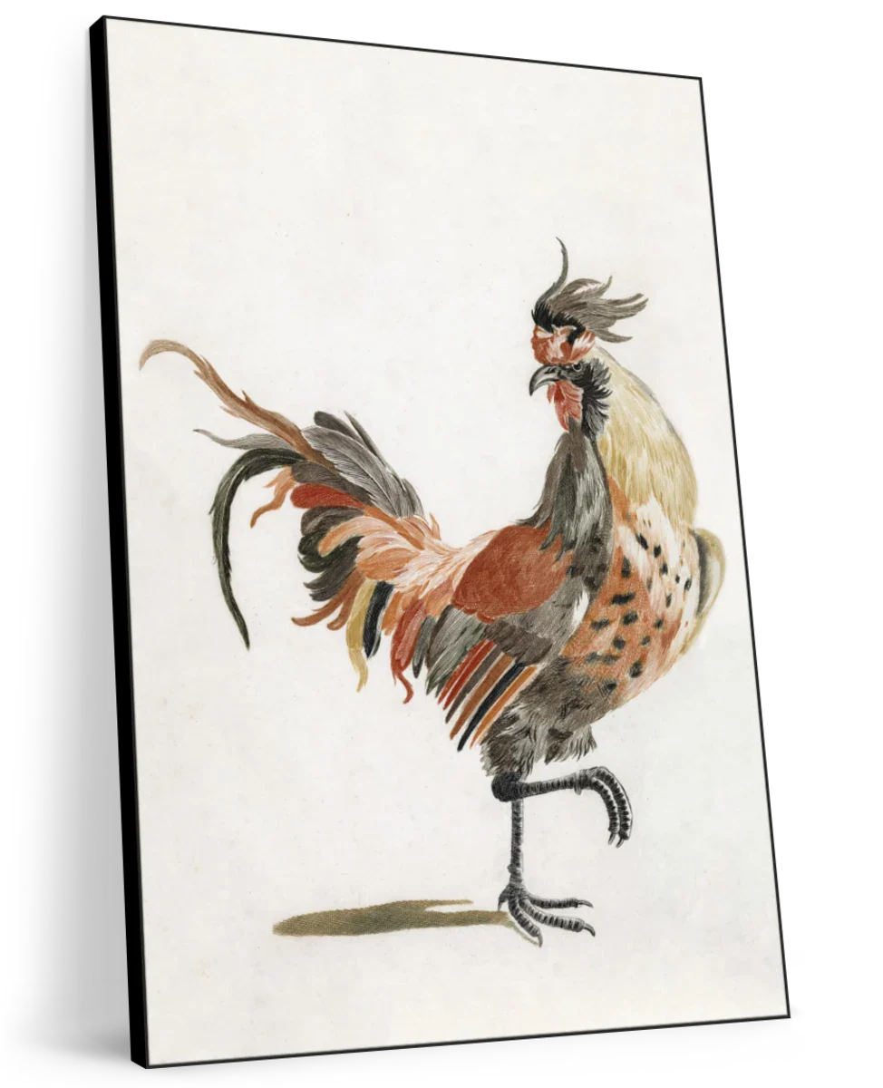 A Cock Wall Art - Image 8