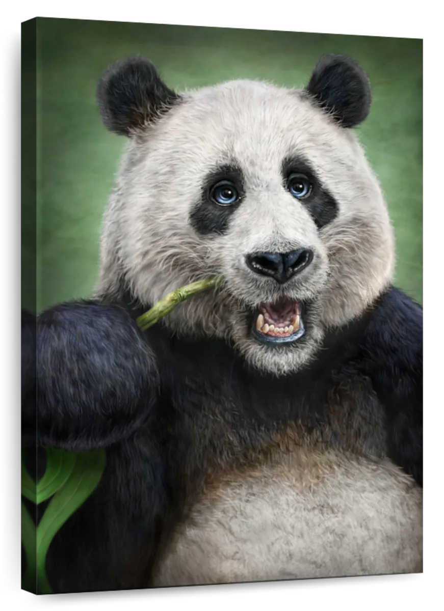 A Panda Wall Art