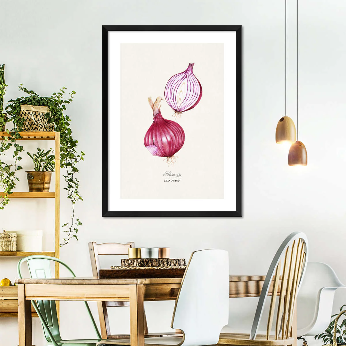 A Red Onion Wall Art - Image 6