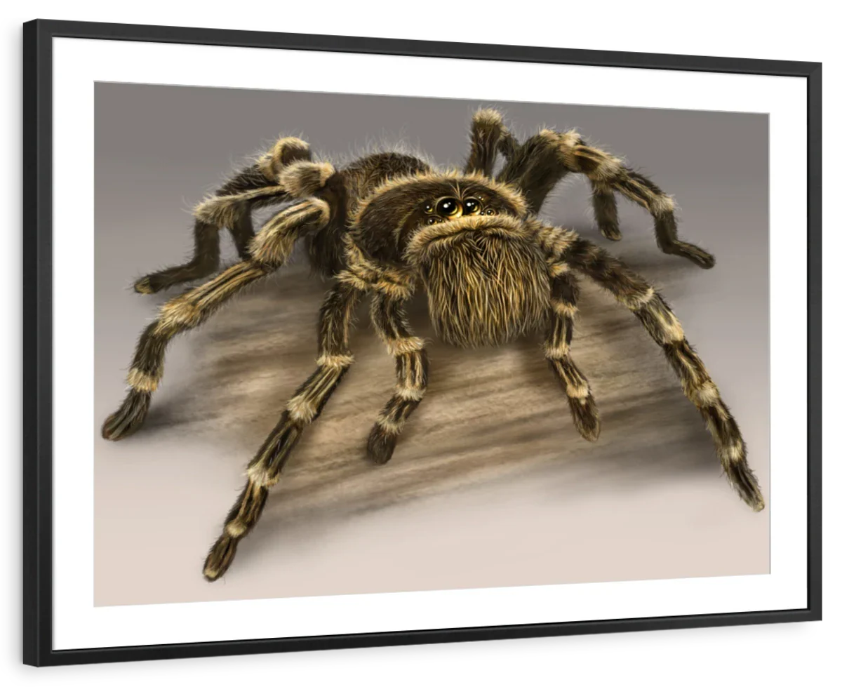 A Tarantula Wall Art - Image 6