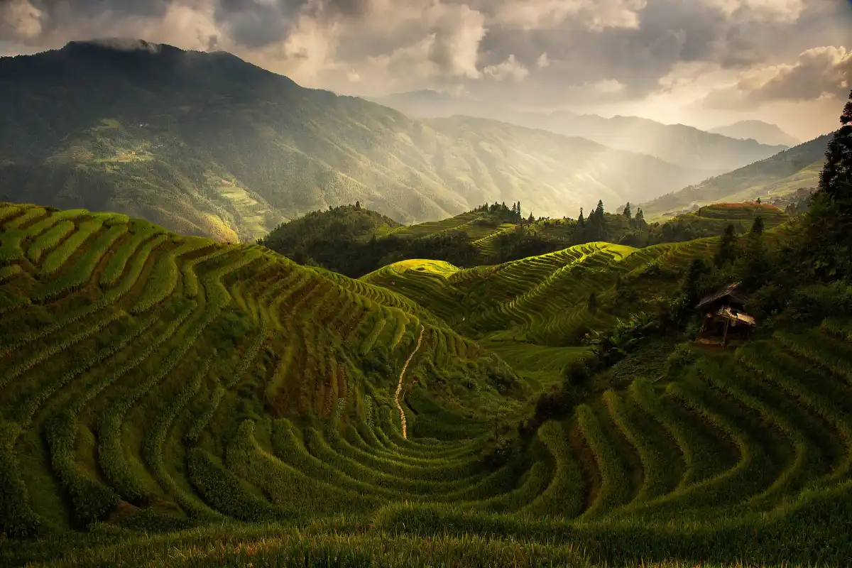 A Tuscan Feel In China Wall Art - Image 16