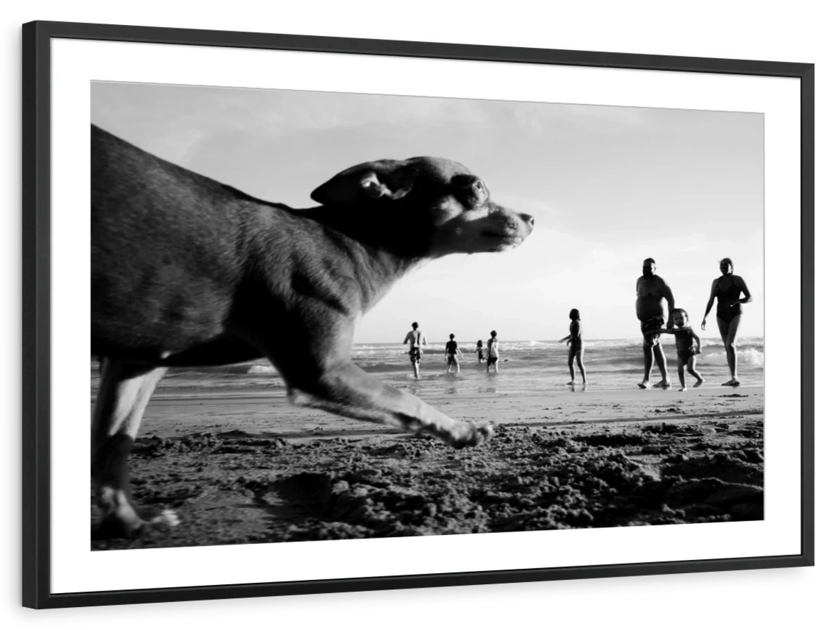Action No. 3 Wall Art - Image 14