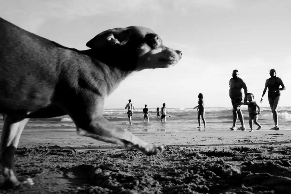 Action No. 3 Wall Art - Image 16