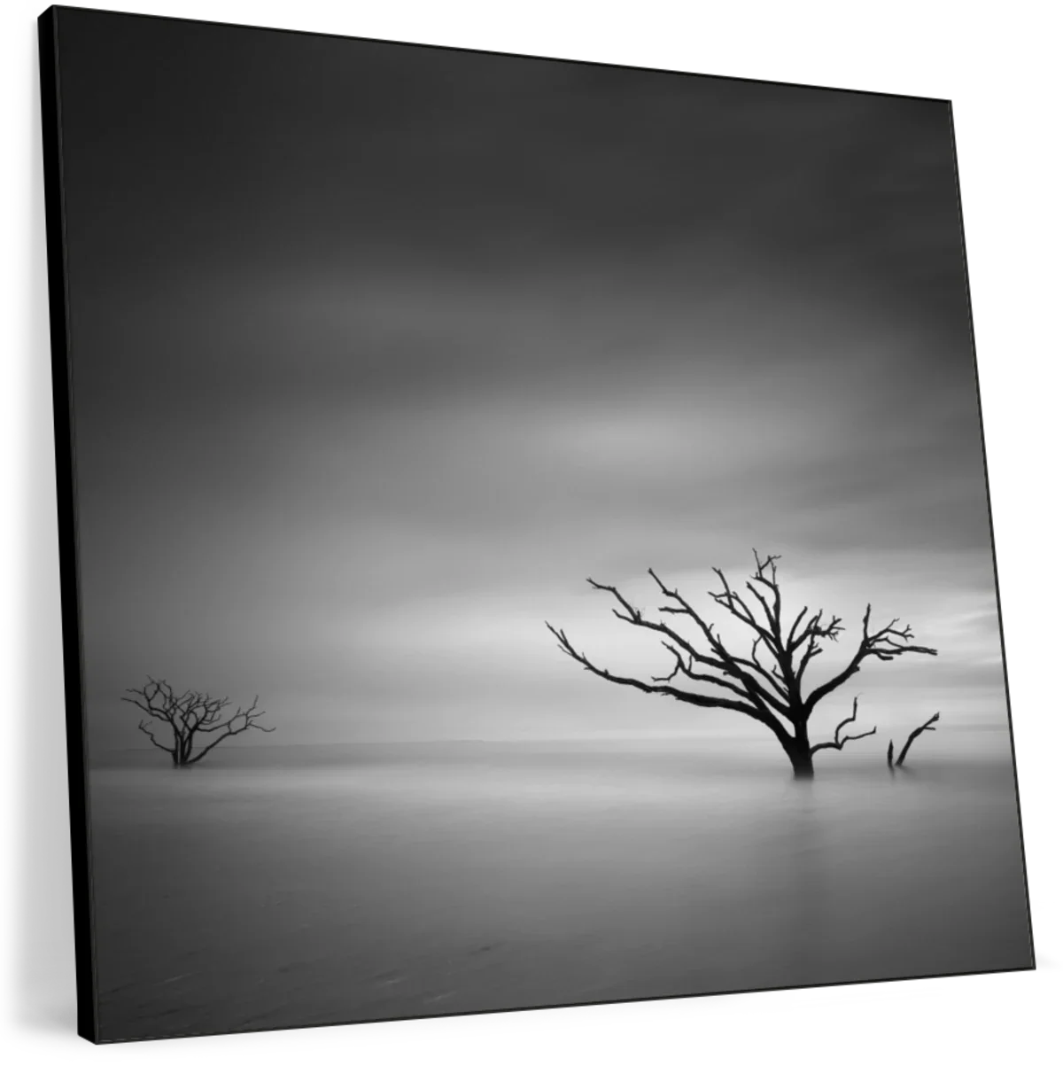 Alone No. 1 Wall Art - Image 11