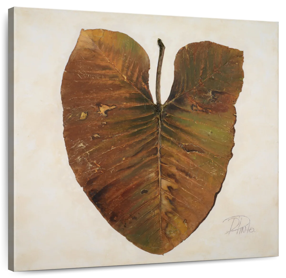 Amazonas II Wall Art
