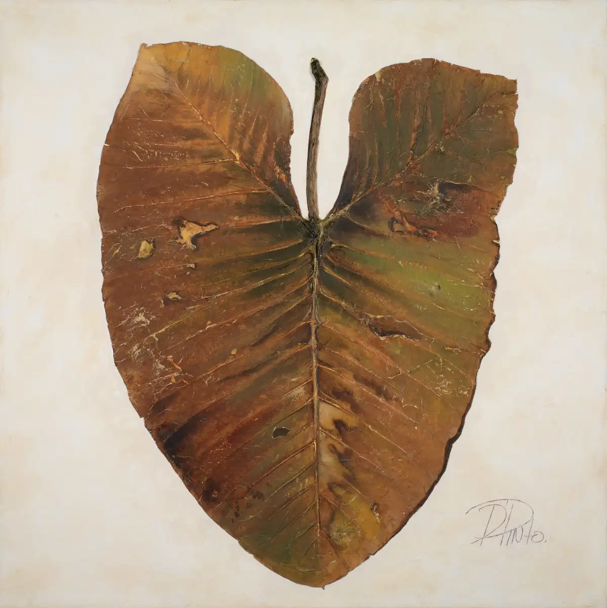 Amazonas II Wall Art - Image 10
