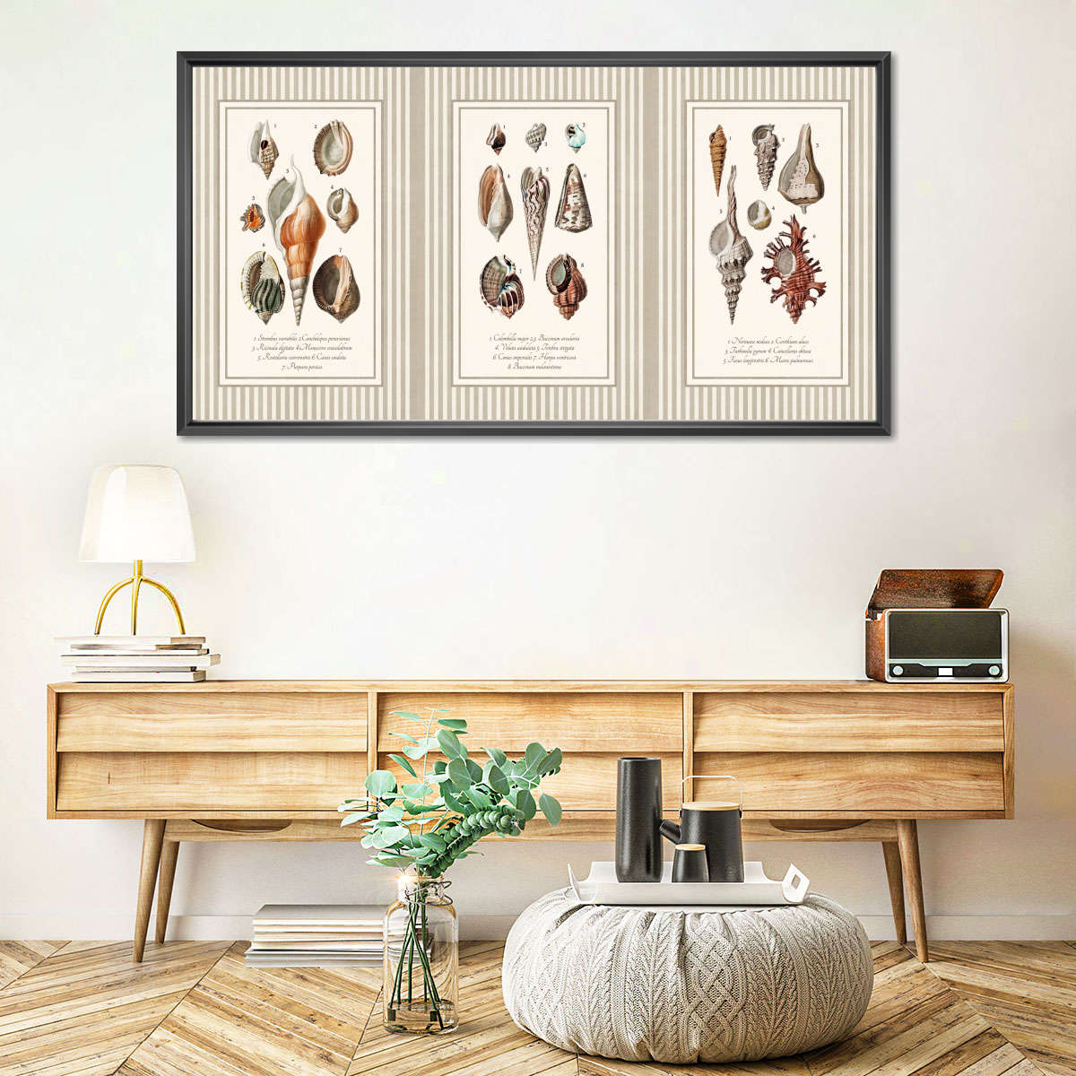 Antique Seashell Collection Triptych Wall Art - Image 5