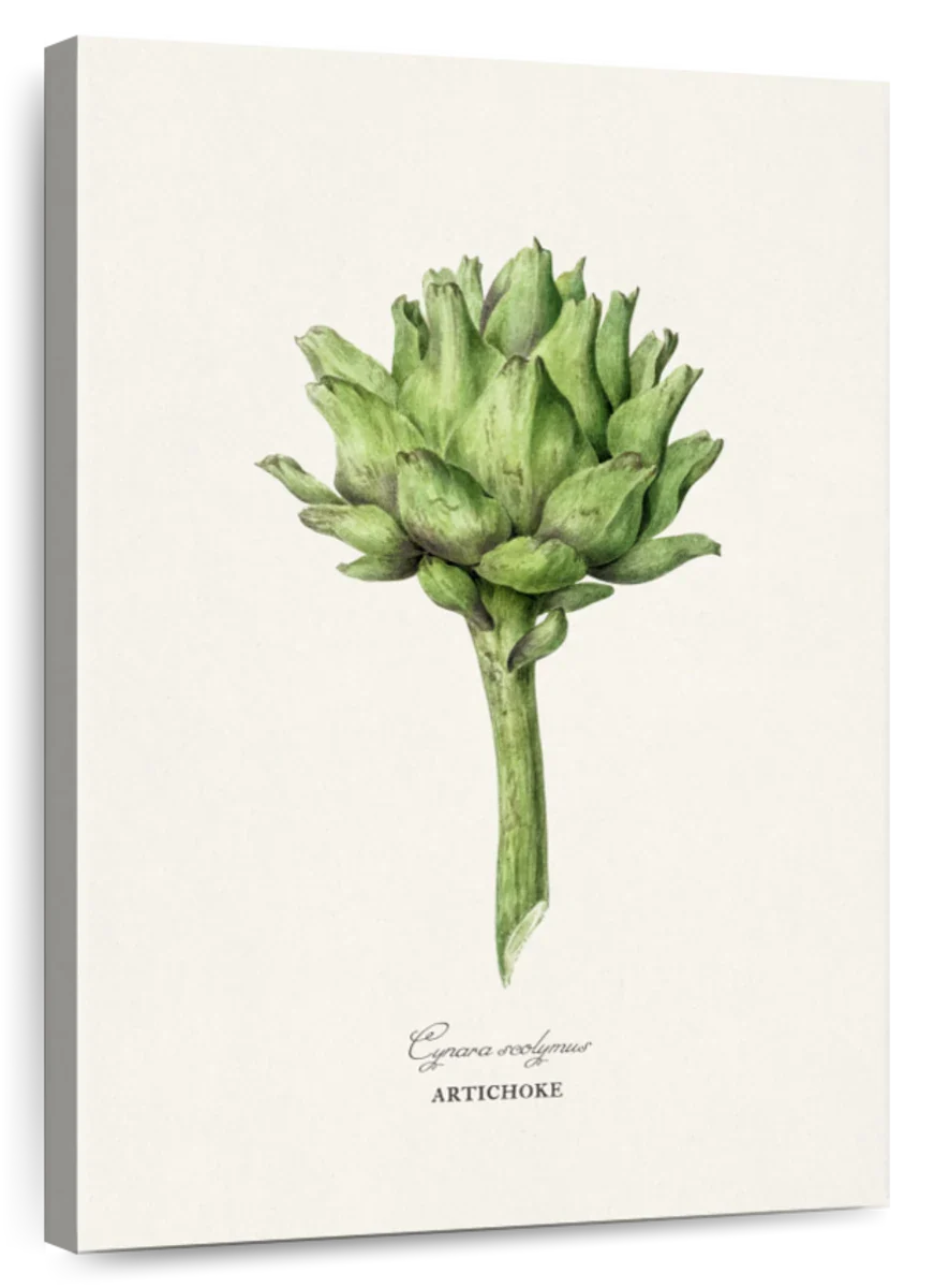 Artichoke Reinterpreted Wall Art