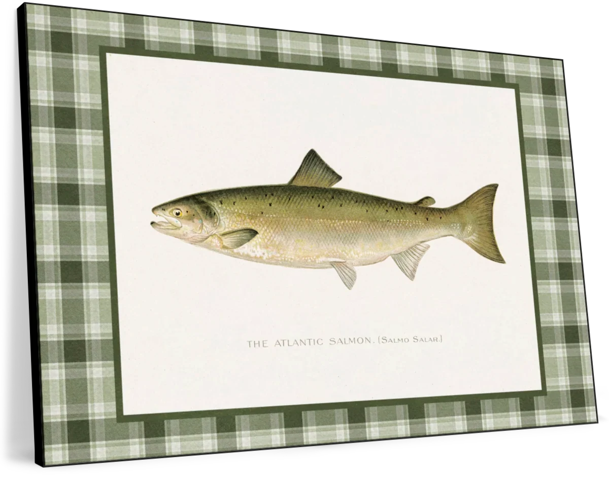 Atlantic Salmon Reinterpreted Wall Art - Image 15