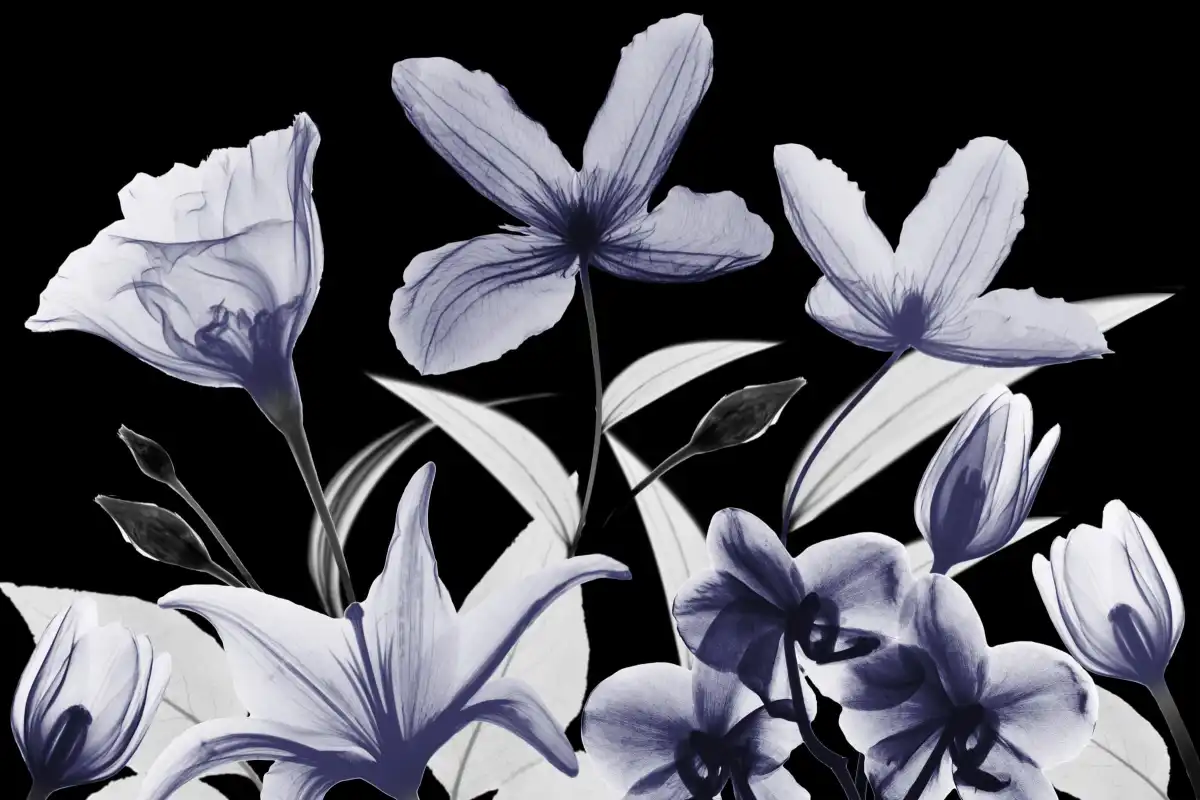 Automatic Dusk Bloom II Wall Art - Image 16