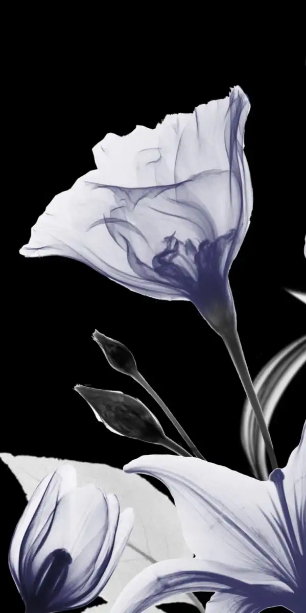Automatic Dusk Bloom II Wall Art - Image 17