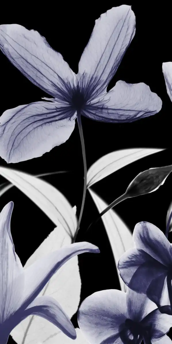 Automatic Dusk Bloom II Wall Art - Image 18