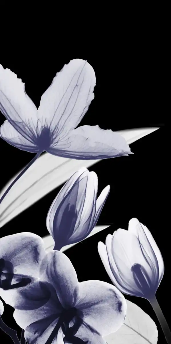 Automatic Dusk Bloom II Wall Art - Image 19