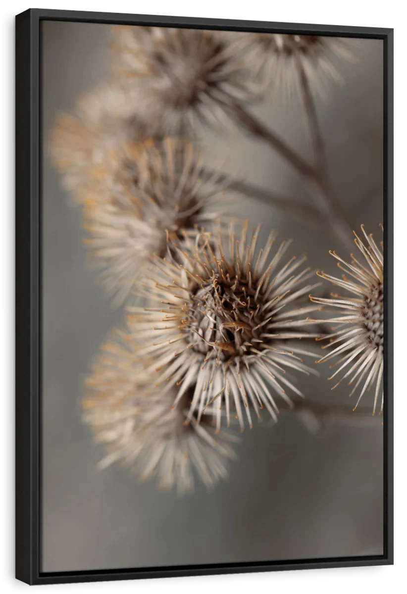 Avantgarde Wall Art - Image 10
