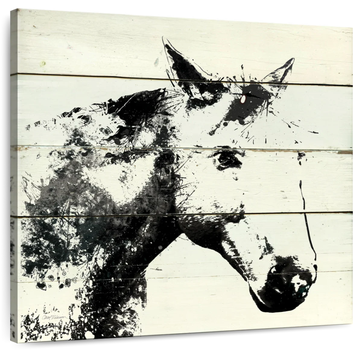 Barn Shadow Wall Art