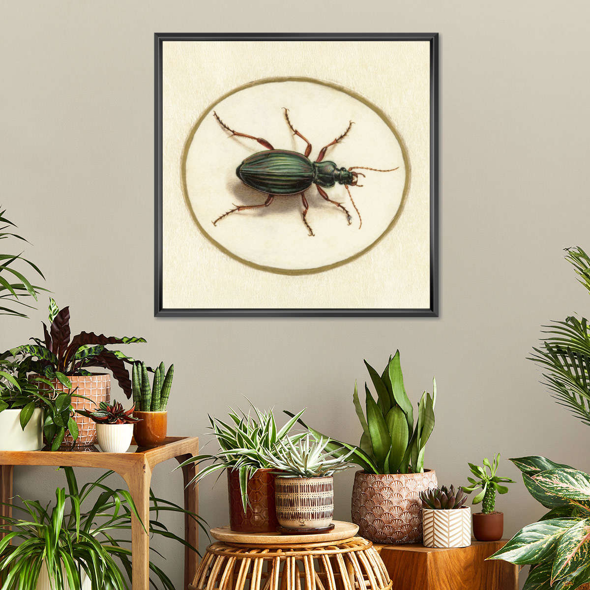 Beetle 1690-1700 Wall Art - Image 4