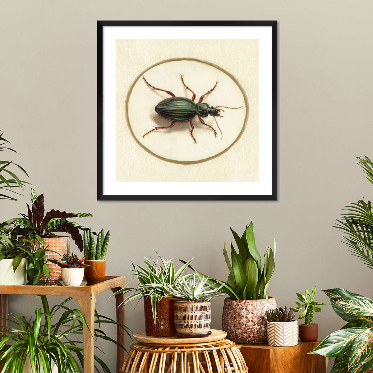 Beetle 1690-1700 Wall Art - Image 5