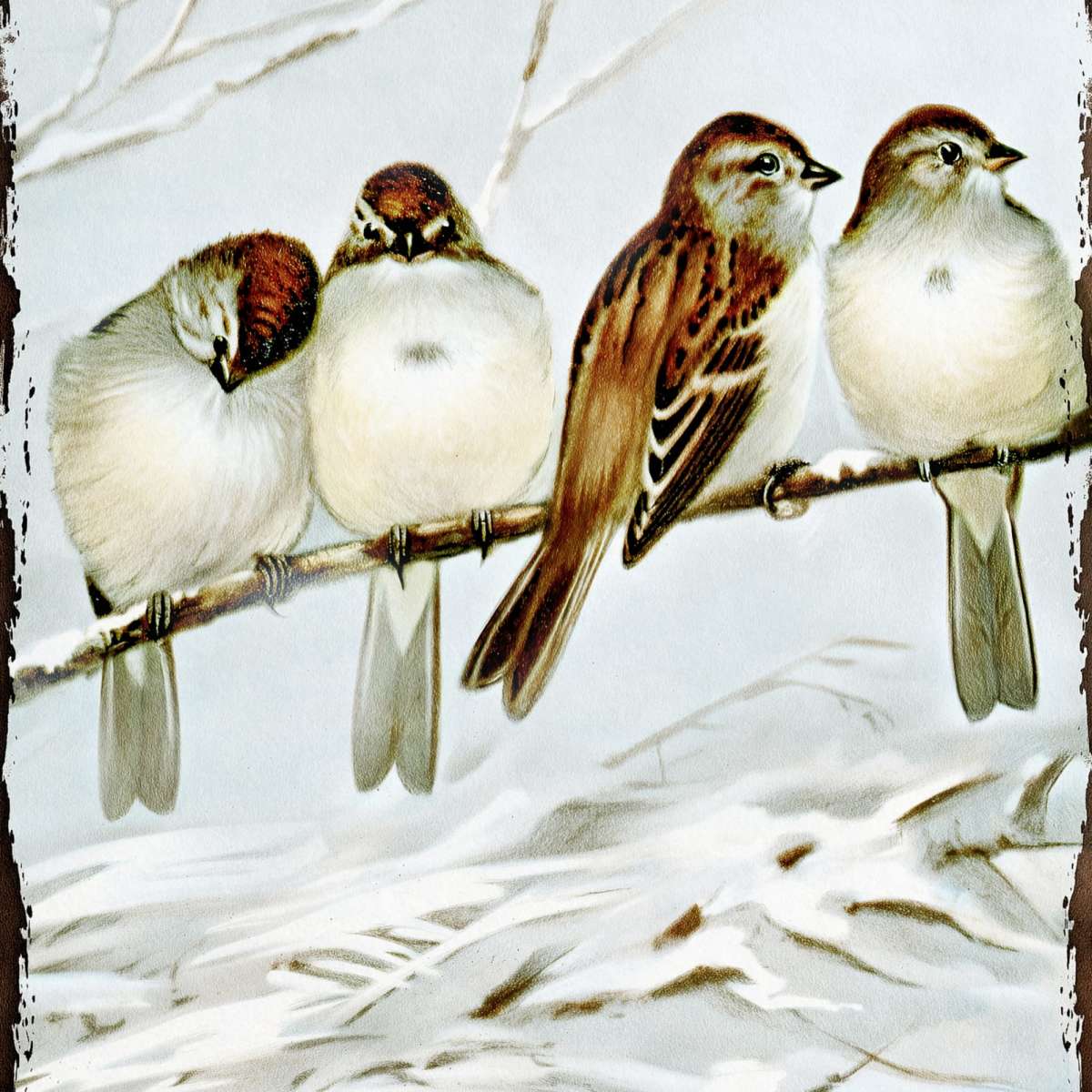 Bird Life - Eurasian Tree Sparrows Wall Art - Image 11