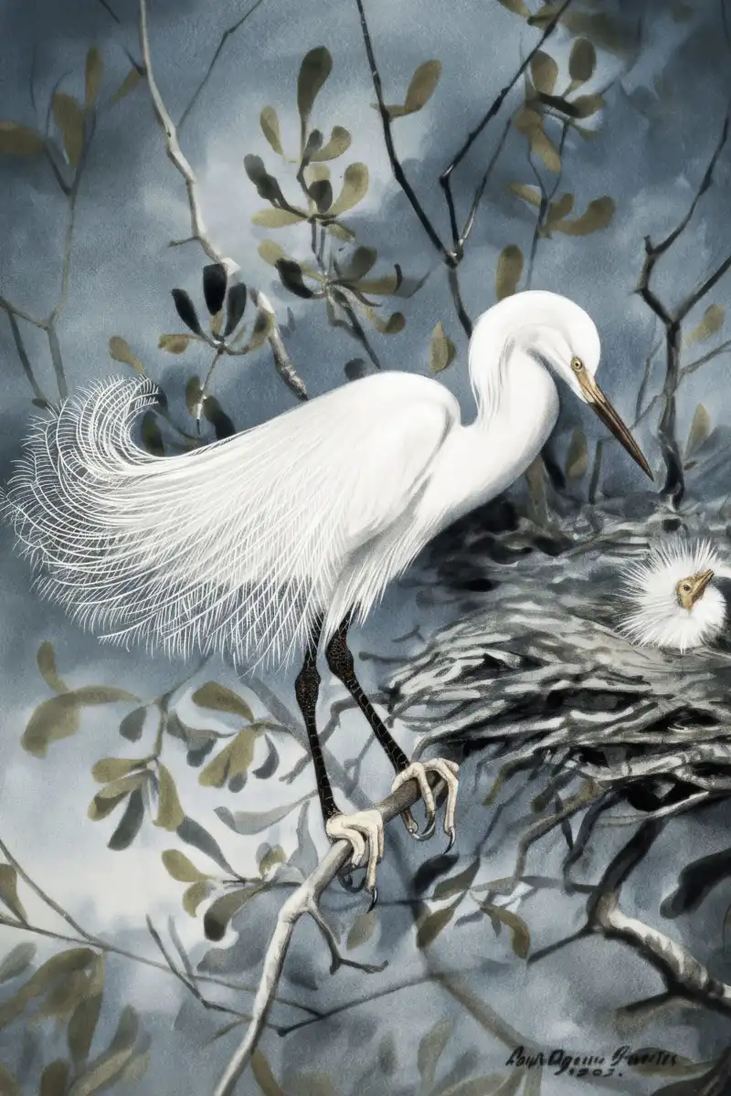 Bird Lore - Snowy Heron Wall Art - Image 10