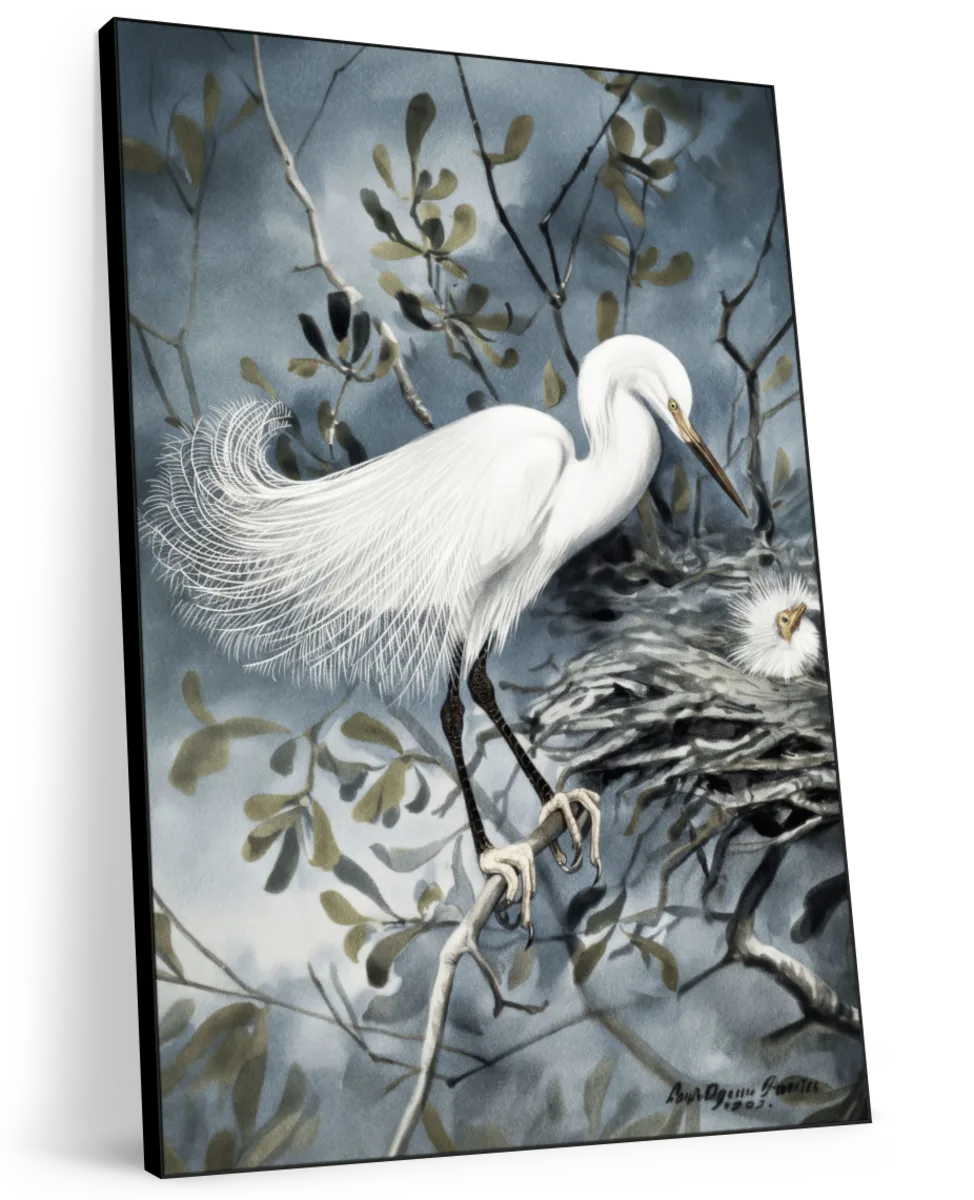 Bird Lore - Snowy Heron Wall Art - Image 8