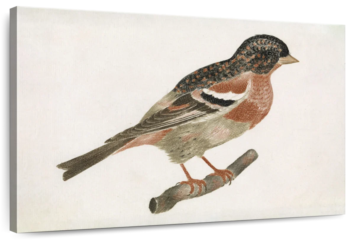Bird On A Branch Facing Right Wall Art