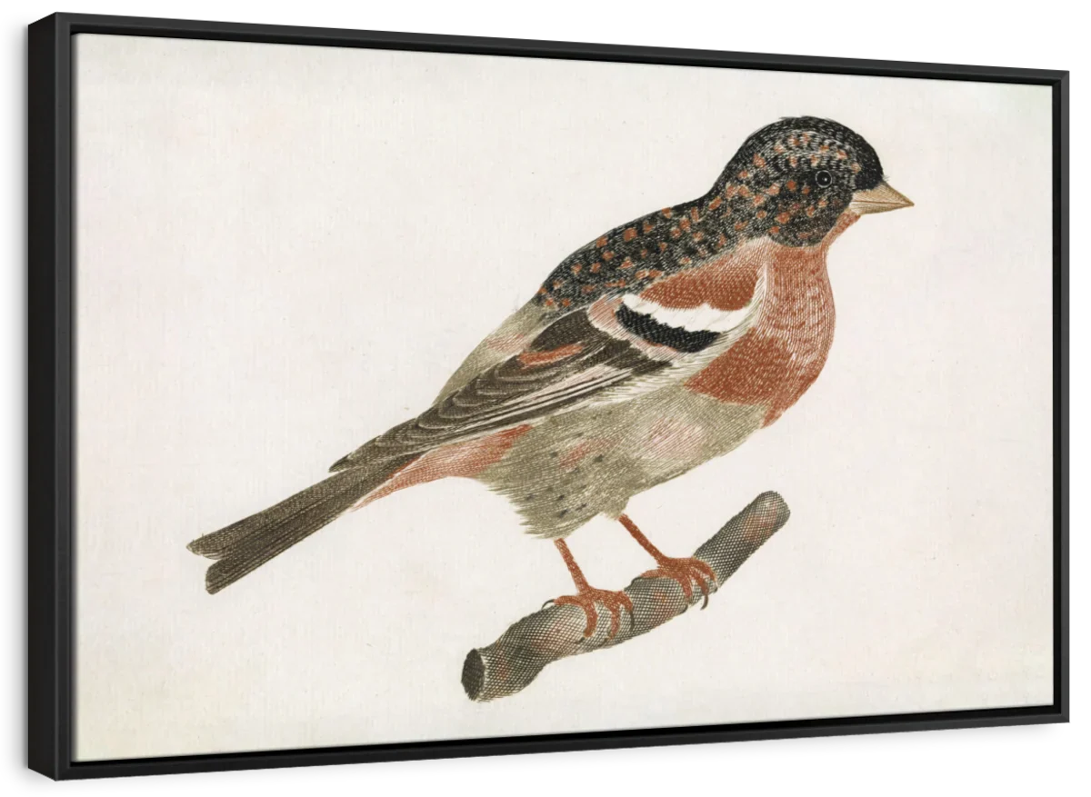 Bird On A Branch Facing Right Wall Art - Image 6