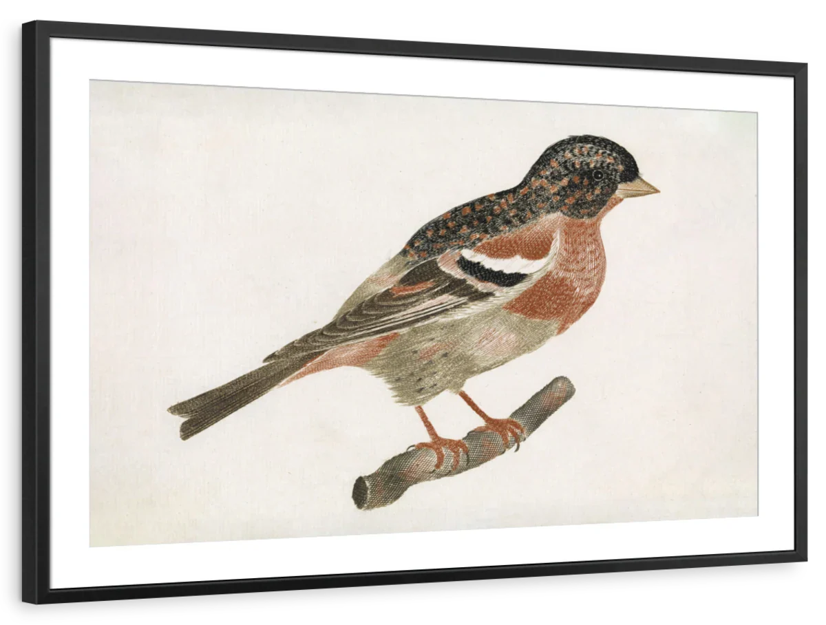 Bird On A Branch Facing Right Wall Art - Image 7