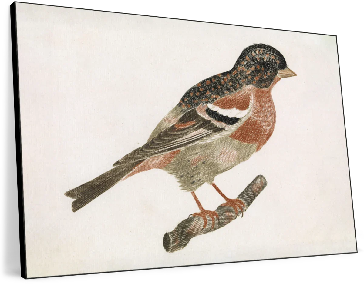 Bird On A Branch Facing Right Wall Art - Image 8