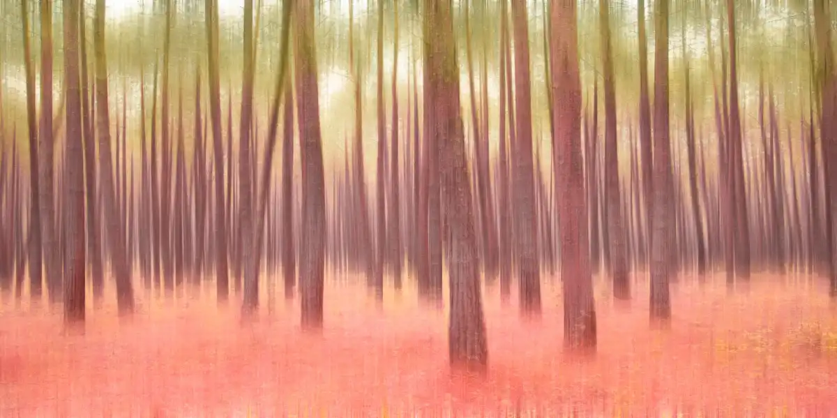 Blurred Trees No. 5 Wall Art - Image 15