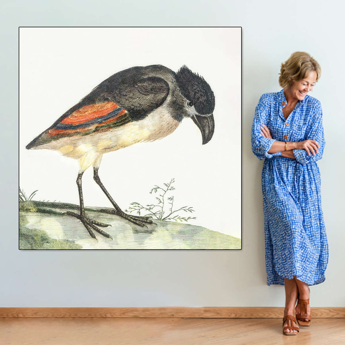 Boat-Billed Heron Wall Art - Image 3