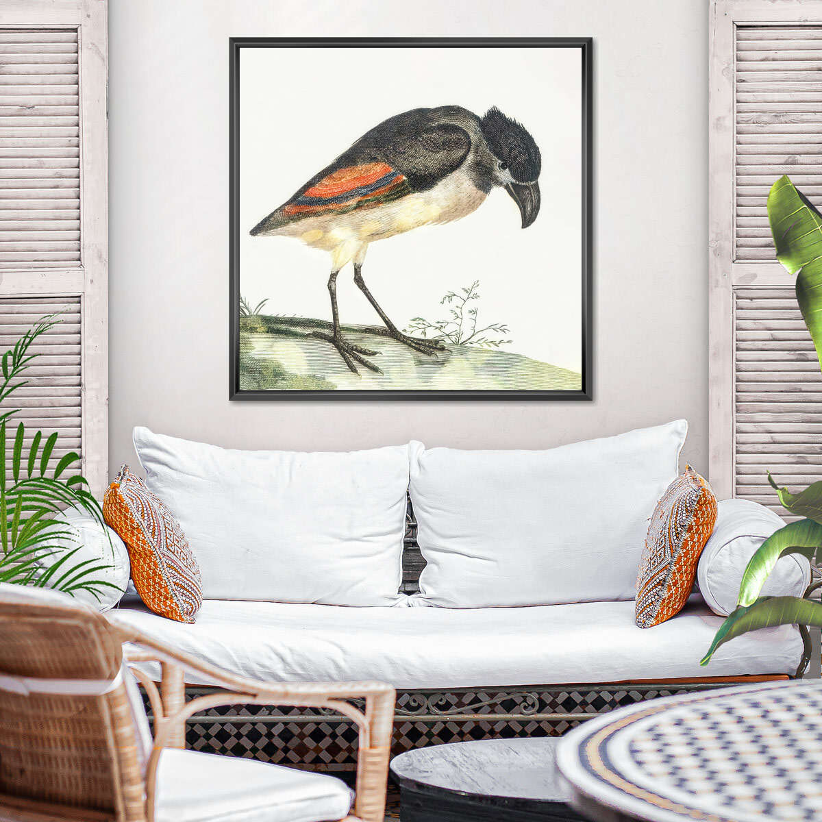 Boat-Billed Heron Wall Art - Image 4