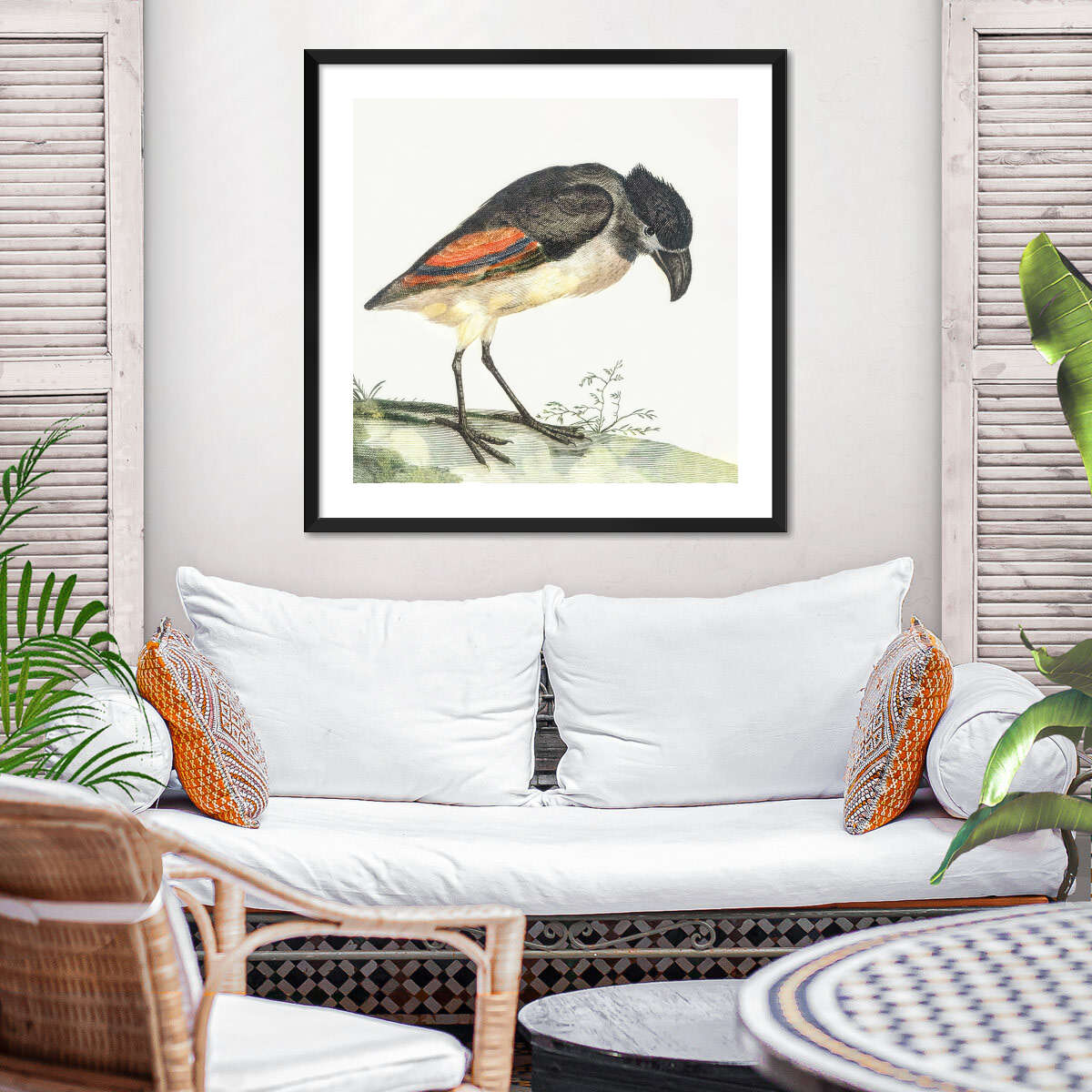 Boat-Billed Heron Wall Art - Image 5