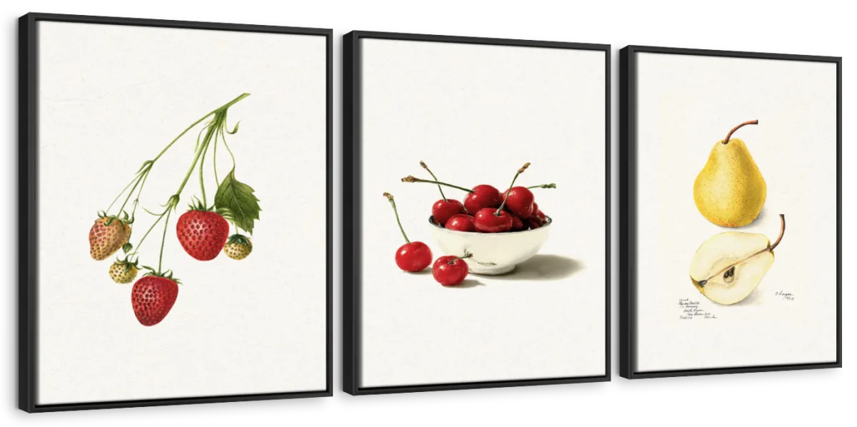 Botanical Fruit Study – Strawberry, Cherry & Pear Wall Art - Image 10