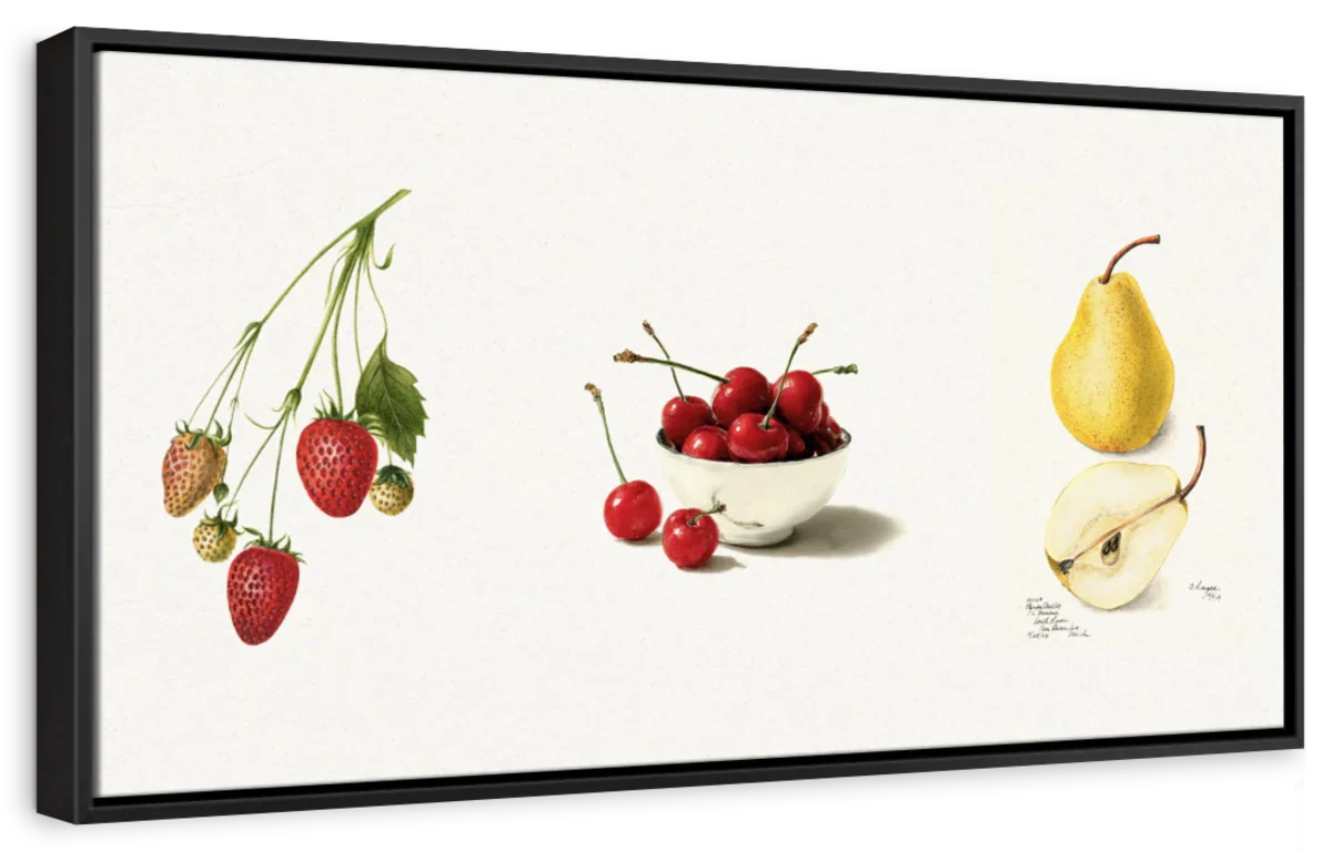 Botanical Fruit Study – Strawberry, Cherry & Pear Wall Art - Image 11
