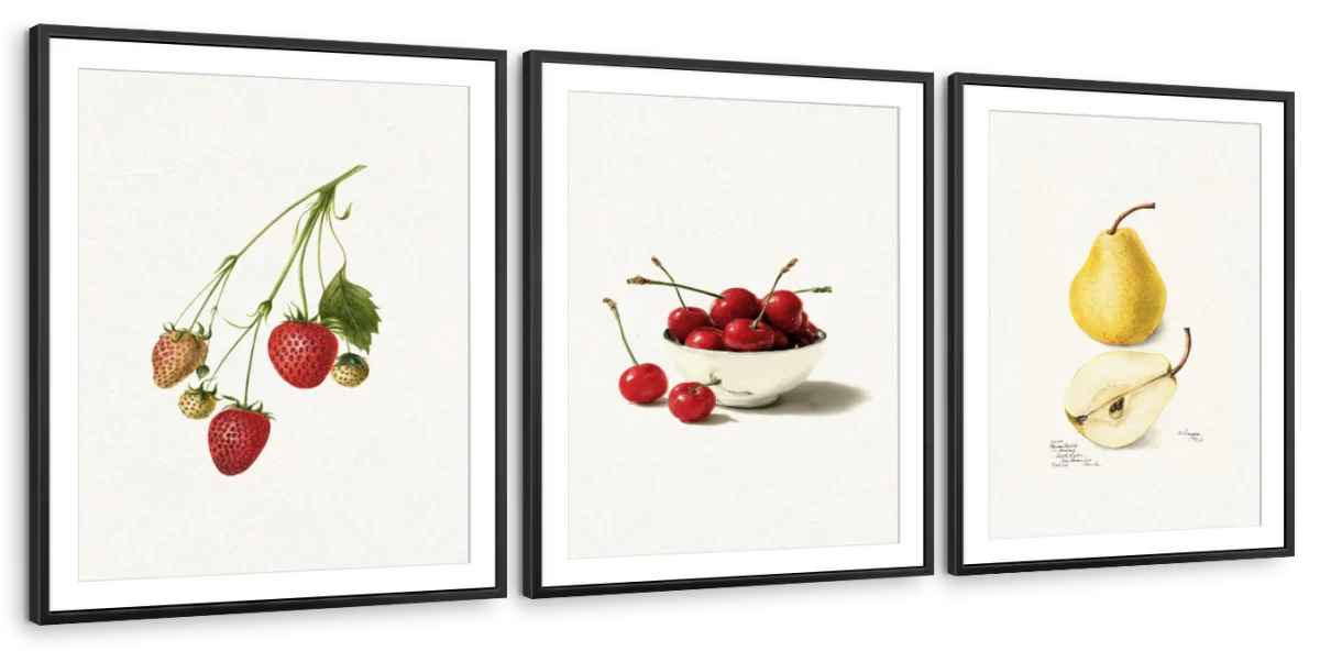 Botanical Fruit Study – Strawberry, Cherry & Pear Wall Art - Image 12