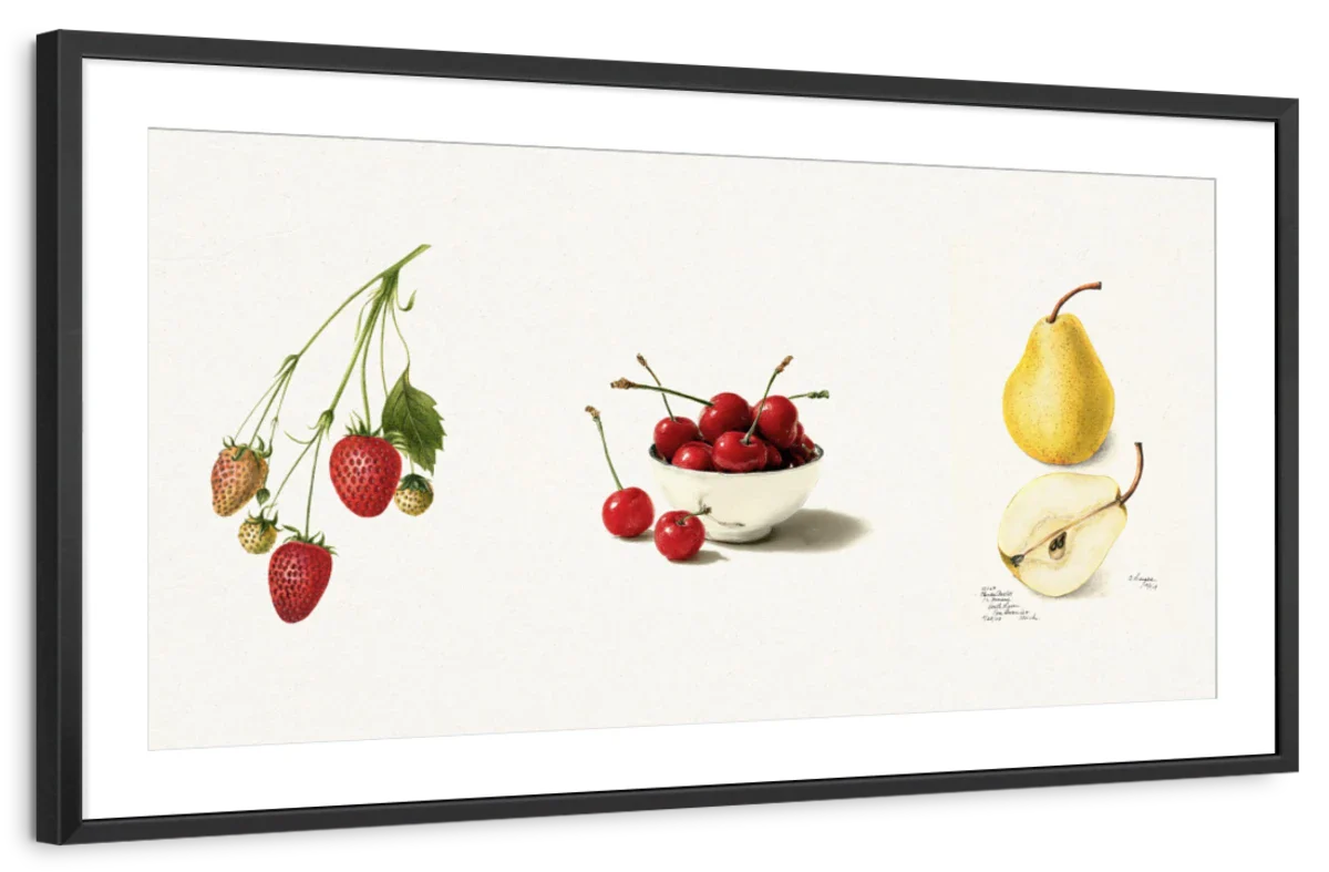Botanical Fruit Study – Strawberry, Cherry & Pear Wall Art - Image 13