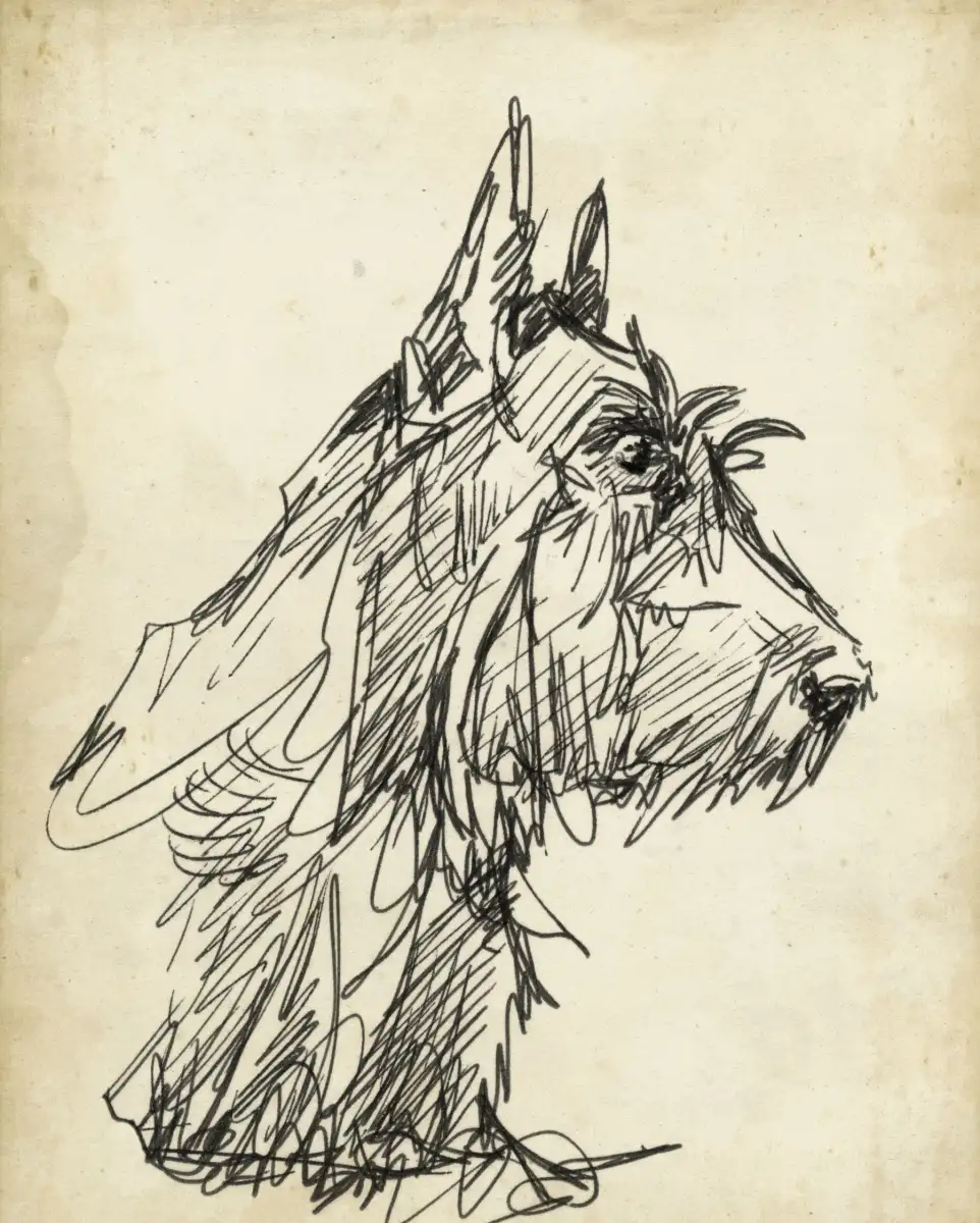 Breed Studies I Wall Art - Image 8