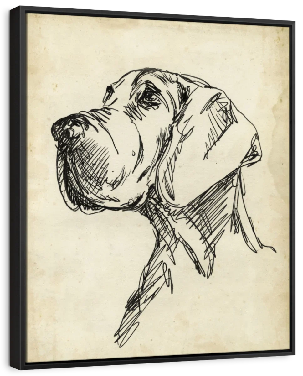 Breed Studies VI Wall Art - Image 6
