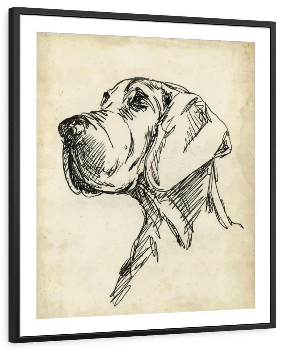 Breed Studies VI Wall Art - Image 7