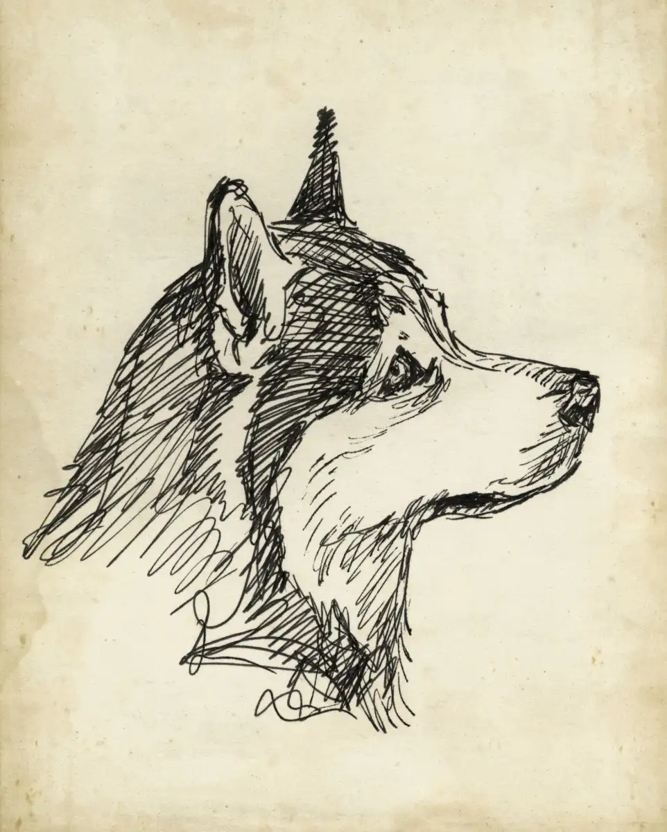 Breed Studies X Wall Art - Image 10
