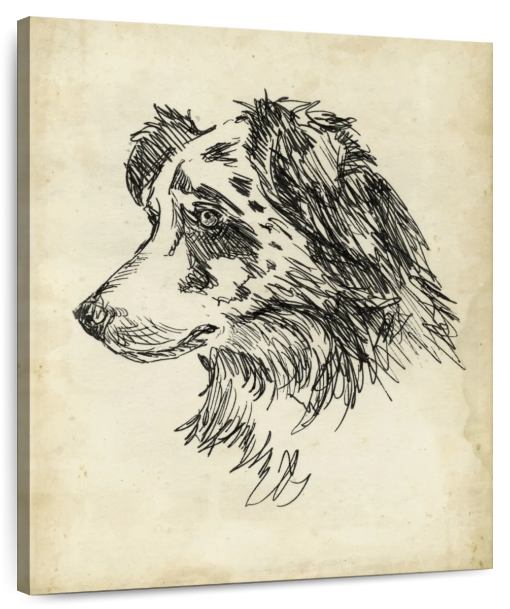 Breed Studies XI Wall Art