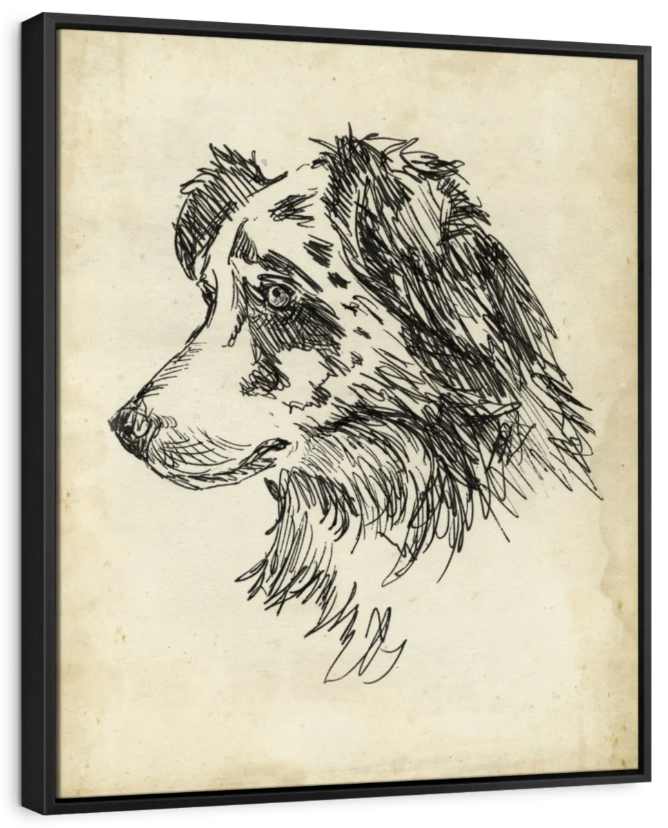 Breed Studies XI Wall Art - Image 6