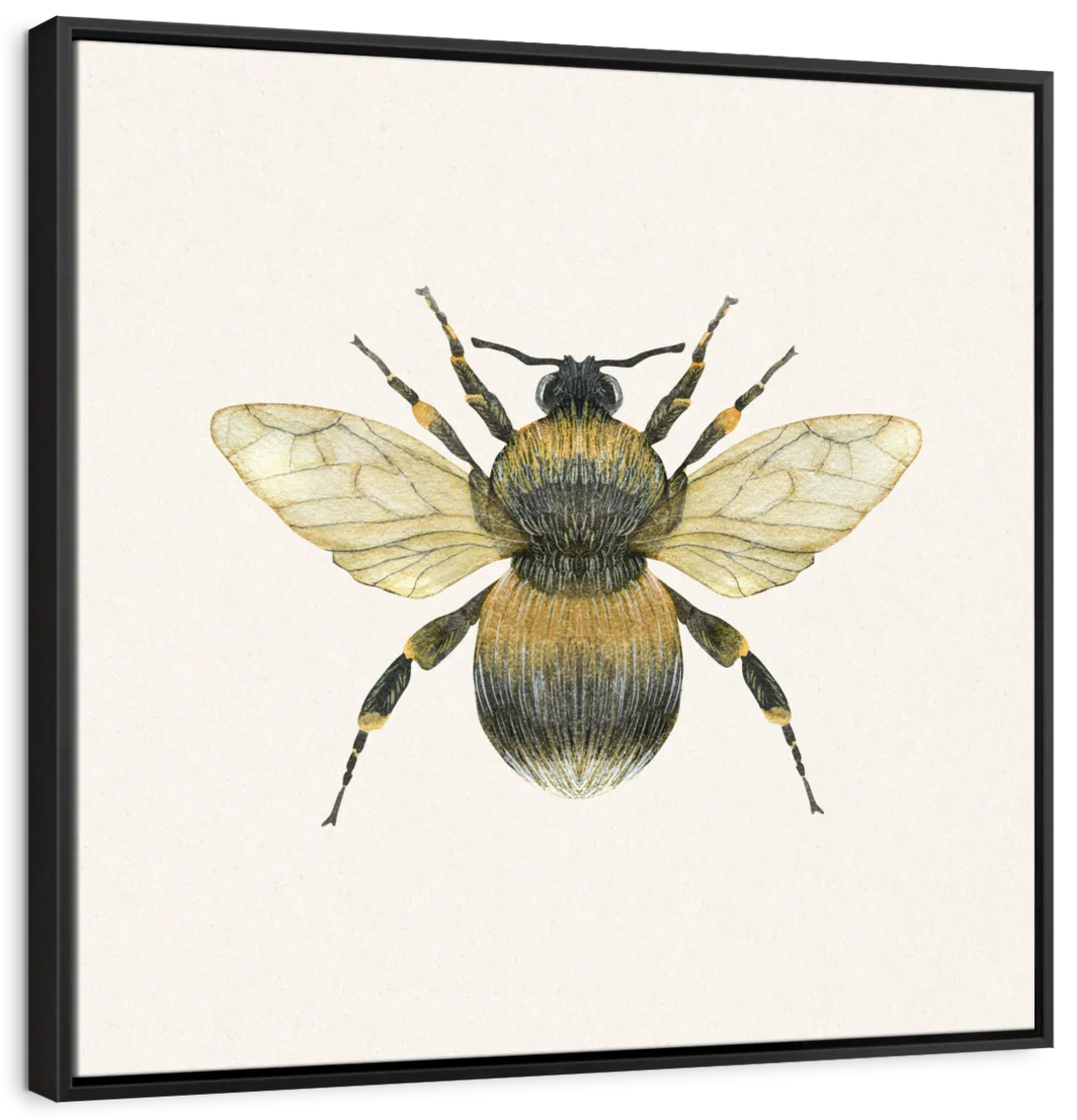 Bumblebee 19th Century Wall Art - Image 9