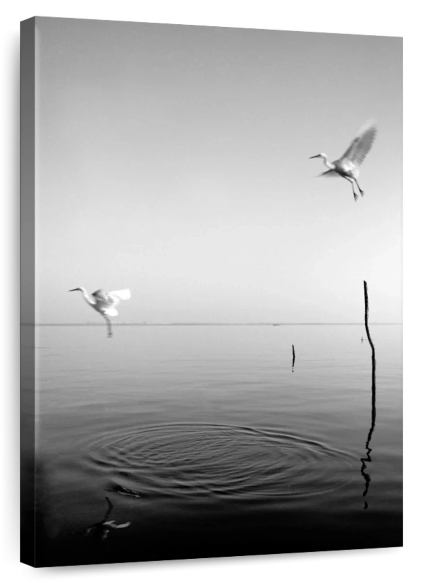 BW Flying Wall Art