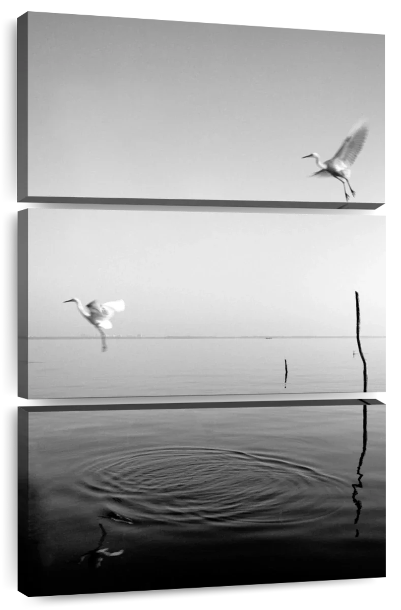 BW Flying Wall Art - Image 7