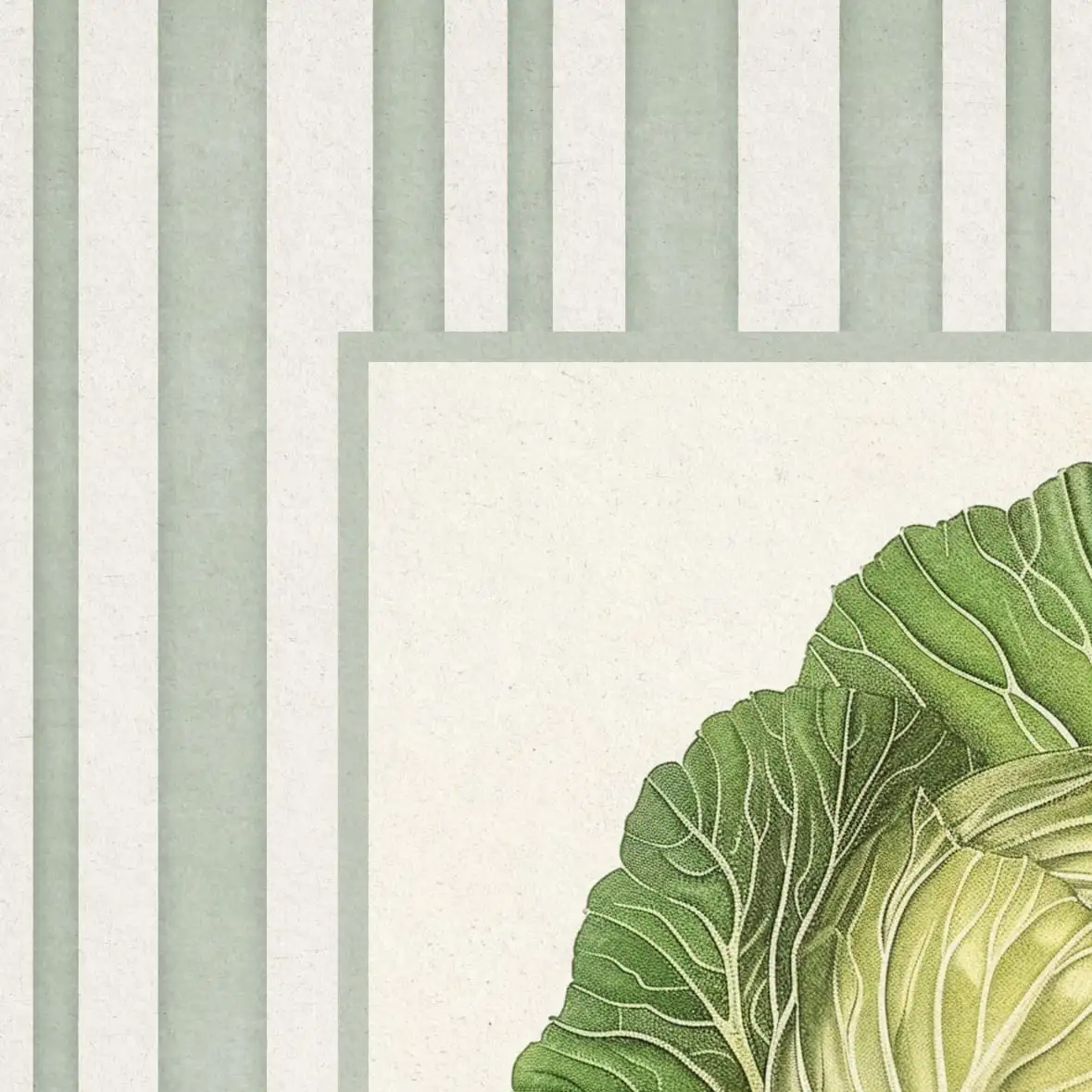 Cabbage Print Wall Art - Image 14
